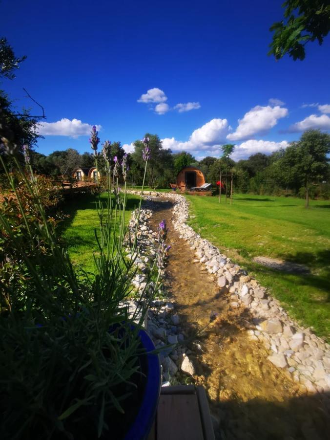 Camping Les Pres Du Roi Sommières Zewnętrze zdjęcie